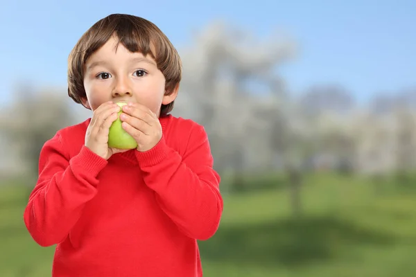 アップル健康子供子供緑の果物を食べて — ストック写真
