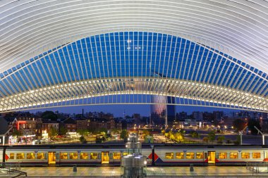 Liege Guillemins tren istasyonu trenler Santiago Calatrava tren