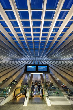 Liege Guillemin tren istasyonu Santiago Calatrava portreleri
