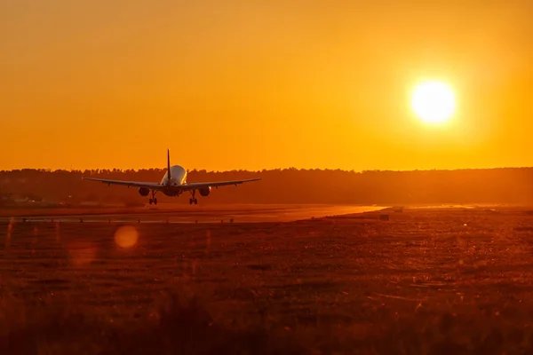 Avión aterrizaje aeropuerto sol puesta del sol vacaciones viajes tra —  Fotos de Stock