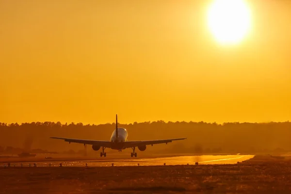 Διακοπές διακοπές ταξίδια αεροπλάνο προσγείωση το αεροδρόμιο ήλιο ηλιοβασίλεμα pla — Φωτογραφία Αρχείου