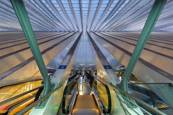 Gare de Liège Guillemins Santiago Calatrava Belgiu — Photo