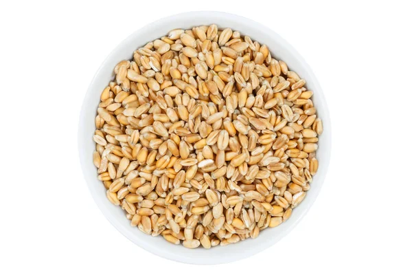 Зерна пшеницы сверху чаши изолированы на белом — стоковое фото