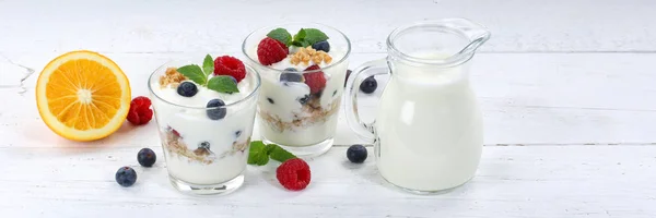 Berry yogurt yoghurt with berries fruits cup muesli banner break — Stock Photo, Image
