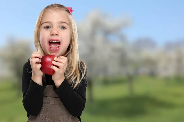 Apple eating child girl kid fruit healthy — Stock Photo, Image