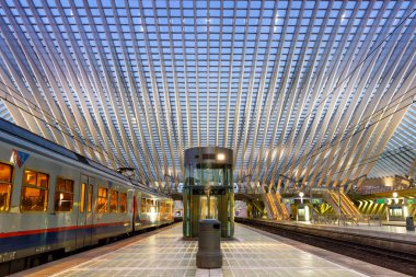 Liege Guillemins tren istasyonu tren Ray Santiago Cala tren
