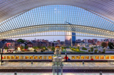 Liege Guillemins tren istasyonu hall platformu trenler Sant tren