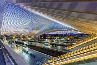 Belçika Liege Guillemins tren tren istasyonu hall platformu tra