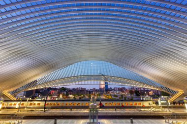 Belçika Liege Guillemins tren tren istasyonu hall platformu tra