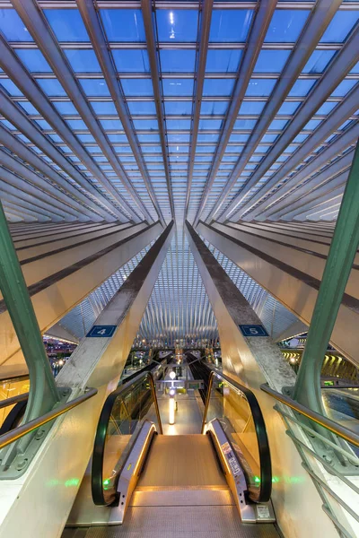 Gare de Liège Guillemins Santiago Calatrava portra — Photo