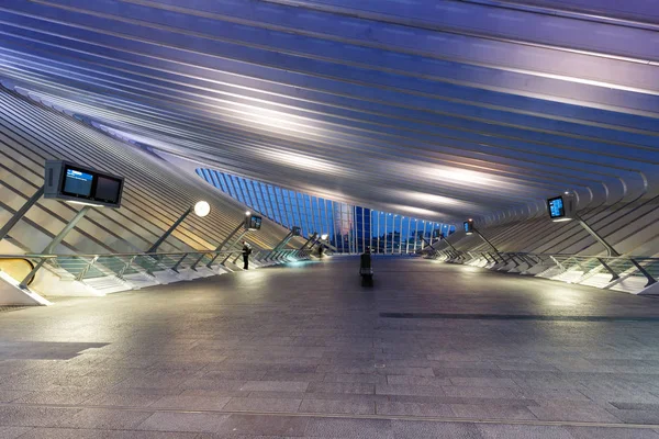 Gare de Liège Guillemins Santiago Calatrava Belgiu — Photo