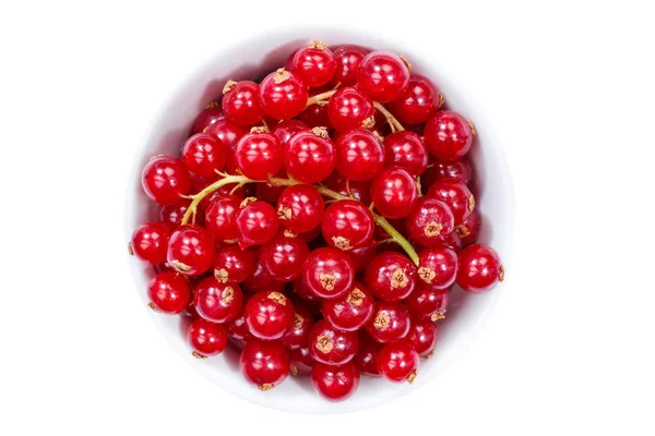 Red currants berries from above bowl isolated on white — Stock Photo, Image