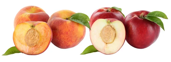 복숭아 복숭아 과일 과일과 배나무 천도에 고립 — 스톡 사진