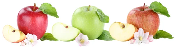 Колекція фруктів яблук фруктів скибочки нарізані цвітіння ізо — стокове фото