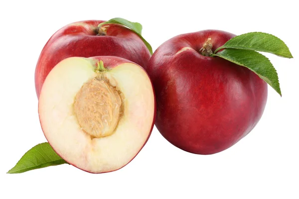 Nectarine nectarines vruchten vruchten geïsoleerd op wit — Stockfoto