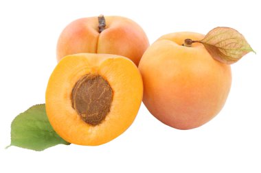 Kayısı kayısı beyaz izole meyve meyve