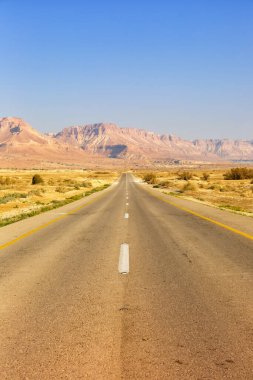 Sonsuz yol sürüşü boş çöl manzarası portresi biçimi yalnızlık sonsuz seyahat