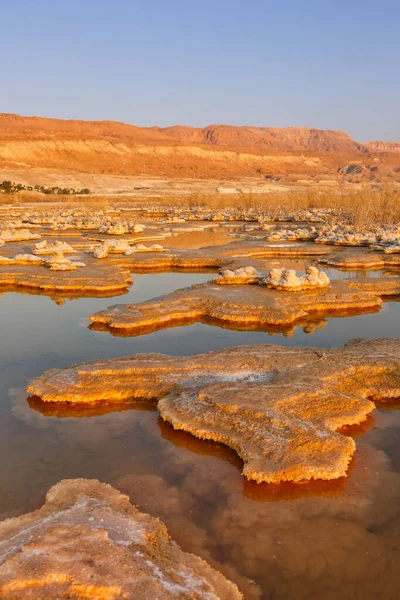 Sunrise Dead Sea Israel Desert Landscape Salt Portrait Format Morning — Stock Photo, Image