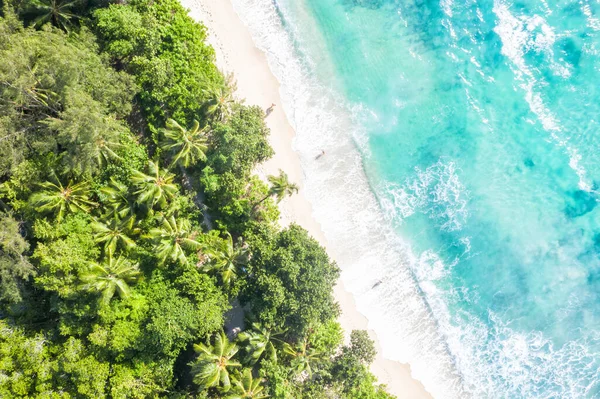 Seychelles Takamaka Strand Mahe Sziget Nyaralás Drón Kilátás Légi Felvétel — Stock Fotó