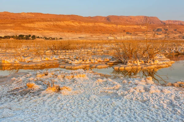 Sunrise Dead Sea Israel Desert Scenery Landscape Salt Morning Water — Stock Photo, Image