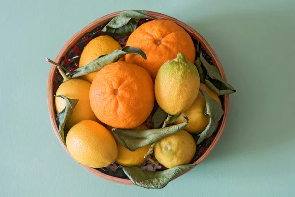 葉に柑橘系の果物 ストックフォト