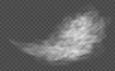 Şeffaf arkaplanda sis ya da duman bulutu izole edildi. Gerçekçi sis, sis, sis ya da bulanıklık etkisi.