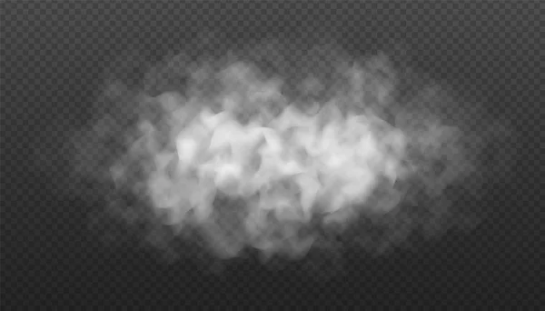 Nube de niebla o humo aislada sobre fondo transparente. Efecto realista de niebla, niebla, niebla o nubosidad . — Vector de stock