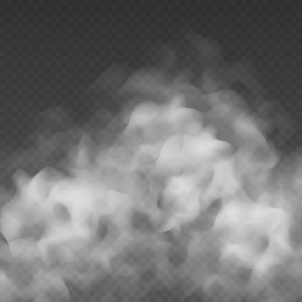 Fog or smoke cloud isolated on transparent background. Realistic smog, haze, mist or cloudiness effect. — Stock Vector