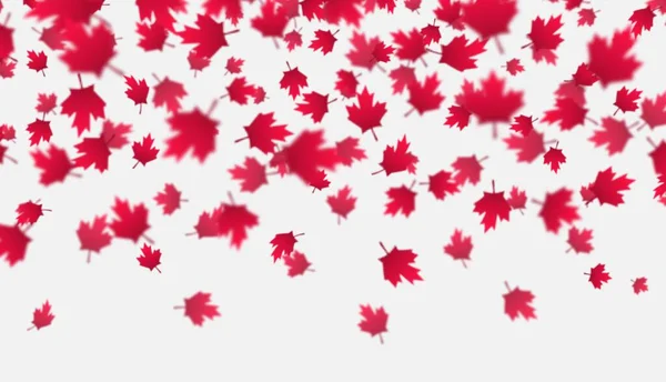 Düşen kırmızı akçaağaç arka planda kalır. Kanada Günü, 1 Temmuz kutlama konsepti. Uçan sonbahar yaprakları. — Stok Vektör