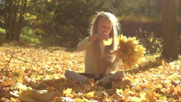 Niña recogiendo hojas amarillas mientras está sentada con las piernas cruzadas en el suelo en el parque de otoño — Vídeos de Stock