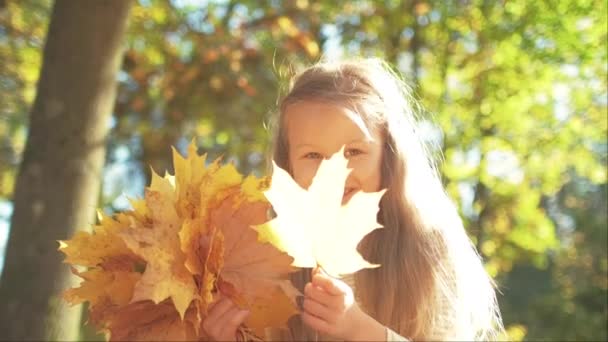 Dívka sbírá žluté listy, zatímco sedí zkřížené nohy na zemi v podzimním parku — Stock video