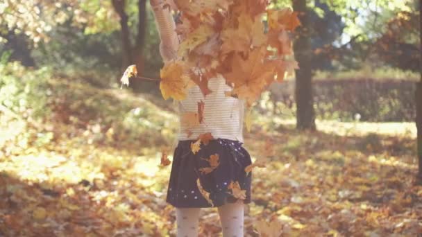 Petite fille jetant bouquet de feuilles jaunes tout en s'amusant sur une journée ensoleillée dans le parc d'automne — Video