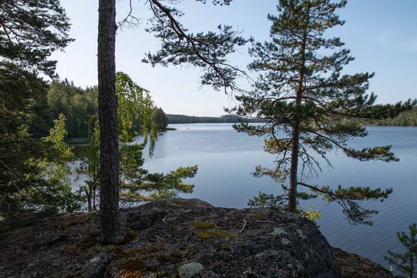 Utsikt Från Berget Ievasvuori — Gratis stockfoto