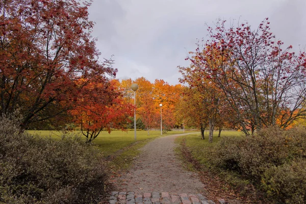 Kopfsteinpflasterstraße Herbstlichen Park Finnland — kostenloses Stockfoto