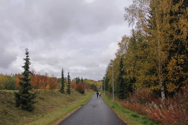 Drumul Țară Autumnal Păduri Forestiere Doi Oameni Mergând Fundal — Fotografie de stoc gratuită