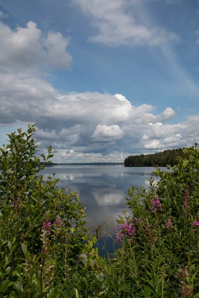 Grön Strand Sjö Sommaren — Stockfoto