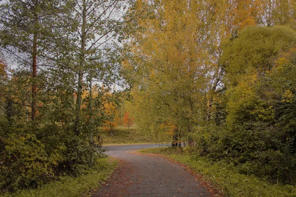 Drumul Prin Pădure Toamna — Fotografie, imagine de stoc
