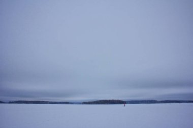 Kar ve ağaçlarla kaplı kış manzarası