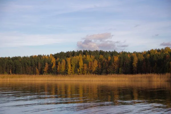 Красивый Осенний Пейзаж Отражением Реки — стоковое фото