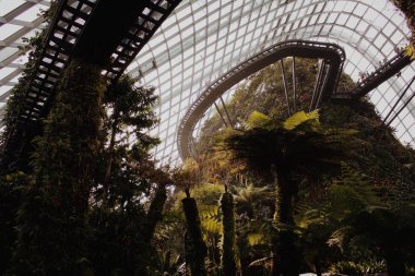 Singapur, Gardens 'taki Supertree Grove' un alt manzarası..
