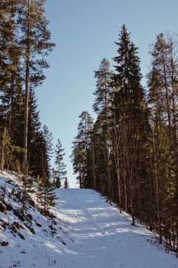 Karlı kış dağlarında yürüyorum