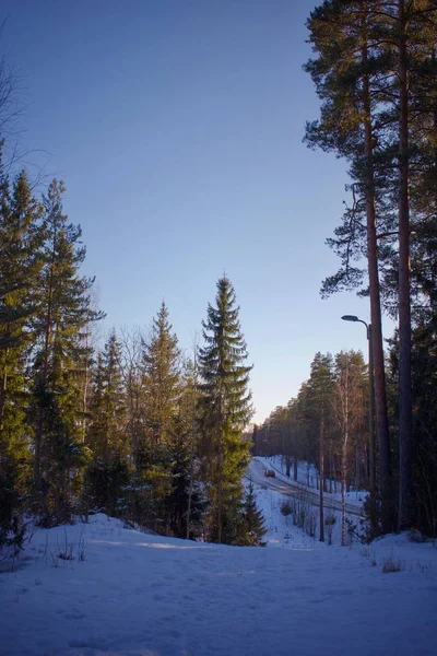 Caminhando Montanhas Nevadas Inverno — Fotografia de Stock