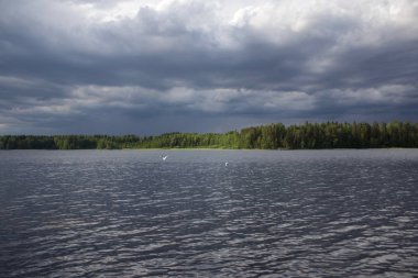 Grey landscape with pond and rainy clouds