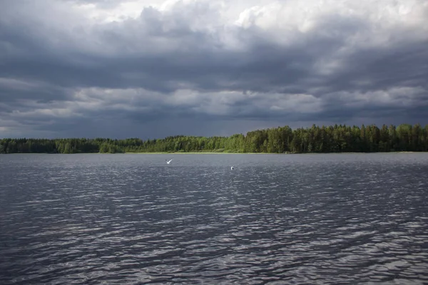 Grey Landscape Pond Rainy Clouds — Stockfoto