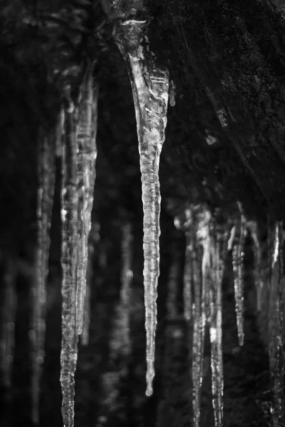 Icicles Hanging Dark Cave Black White — Stock Photo, Image