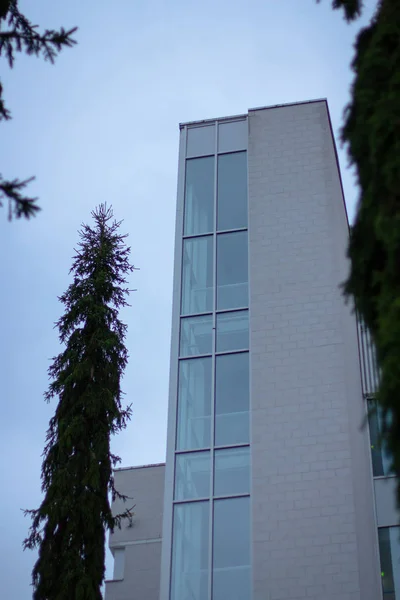 Ağaçlar arasında modern bina.