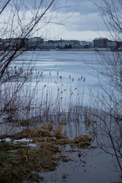 Donmuş Göl Kapat — Stok fotoğraf