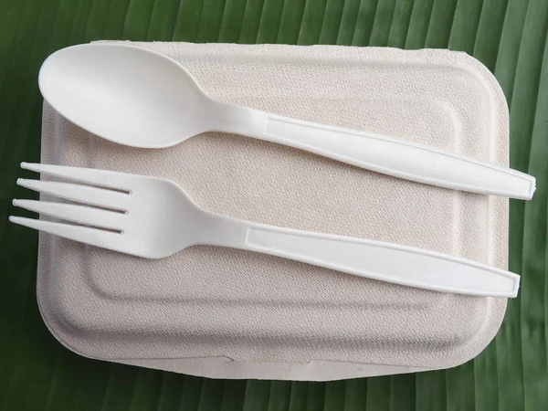 Fourchette à cuillère en bioplastique et boîte à lunch jetable — Photo