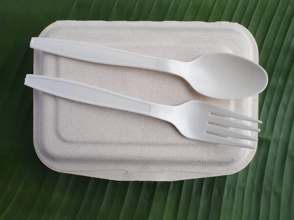 bioplastic spoon fork and biodegradable lunch box