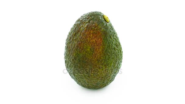 Aguacate verde gira en bucle — Vídeos de Stock